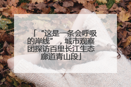 “这是一条会呼吸的岸线”，城市观察团探访百里长江生态廊道青山段