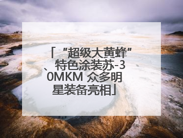 “超级大黄蜂”、特色涂装苏-30MKM 众多明星装备亮相