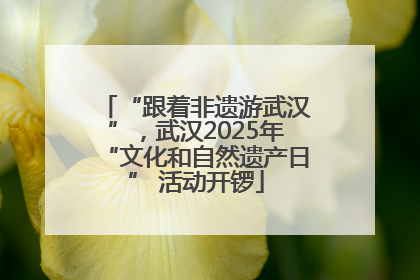 “跟着非遗游武汉”，武汉2025年“文化和自然遗产日” 活动开锣