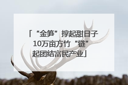 “金笋”撑起甜日子 10万亩方竹“链”起团结富民产业