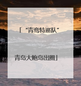 “青鸾特巡队”青岛大鲍岛出圈