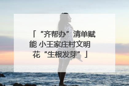 “齐帮办”清单赋能 小王家庄村文明花“生根发芽”