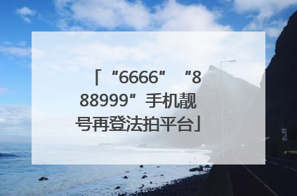 “6666”“888999”手机靓号再登法拍平台