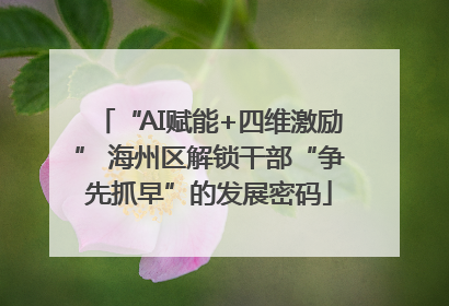 “AI赋能+四维激励” 海州区解锁干部“争先抓早”的发展密码