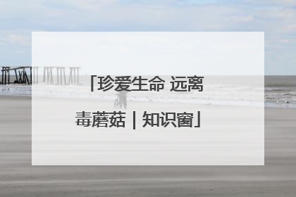 珍爱生命 远离毒蘑菇｜知识窗