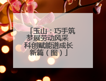 玉山：巧手筑梦展劳动风采 科创赋能谱成长新篇（图）