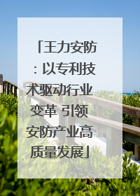 王力安防：以专利技术驱动行业变革 引领安防产业高质量发展