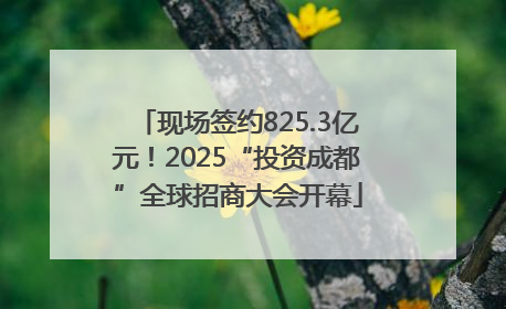 现场签约825.3亿元！2025“投资成都”全球招商大会开幕