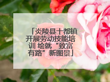 炎陵县十都镇开展劳动技能培训 绘就“致富有路”新图景