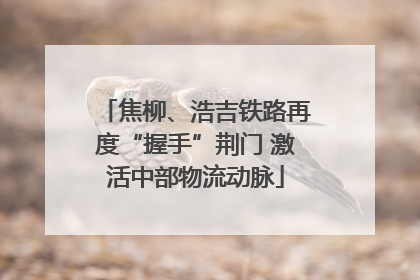 焦柳、浩吉铁路再度“握手”荆门 激活中部物流动脉