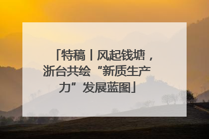 特稿丨风起钱塘，浙台共绘“新质生产力”发展蓝图