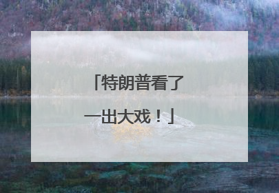特朗普看了一出大戏！