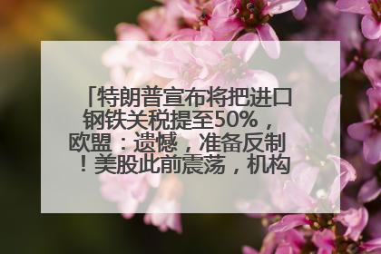 特朗普宣布将把进口钢铁关税提至50%，欧盟：遗憾，准备反制！美股此前震荡，机构：美元正进入熊市