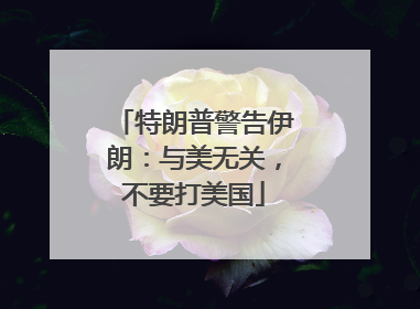 特朗普警告伊朗：与美无关，不要打美国