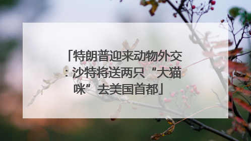 特朗普迎来动物外交：沙特将送两只“大猫咪”去美国首都