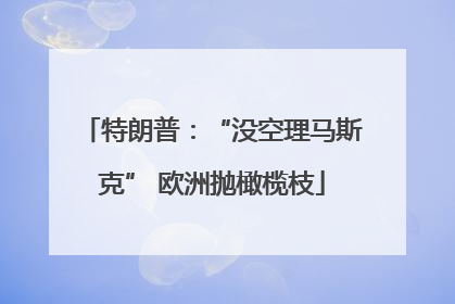 特朗普：“没空理马斯克” 欧洲抛橄榄枝