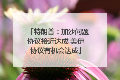 特朗普：加沙问题协议接近达成 美伊协议有机会达成