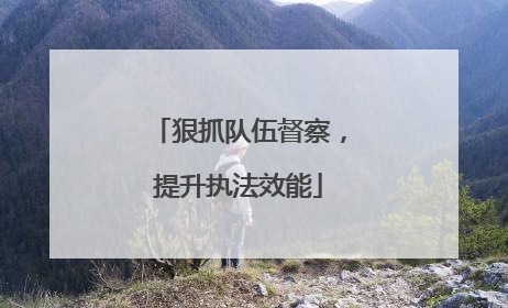 狠抓队伍督察，提升执法效能