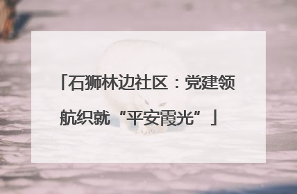 石狮林边社区：党建领航织就“平安霞光”