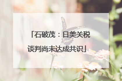 石破茂：日美关税谈判尚未达成共识