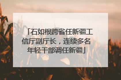 石如根跨省任新疆工信厅副厅长，连续多名年轻干部调任新疆