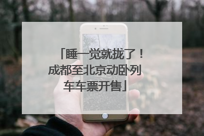 睡一觉就拢了！成都至北京动卧列车车票开售