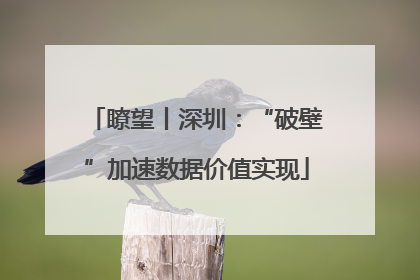 瞭望丨深圳：“破壁”加速数据价值实现
