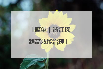 瞭望｜浙江探路高效能治理