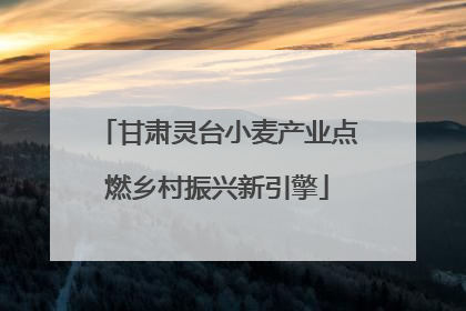 甘肃灵台小麦产业点燃乡村振兴新引擎