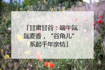 甘肃甘谷：端午氤氲麦香，“谷角儿”系起千年亲情