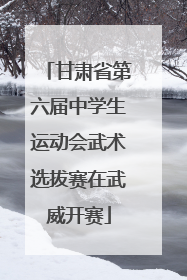 甘肃省第六届中学生运动会武术选拔赛在武威开赛