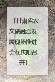 甘肃省农文旅融合发展现场推进会在庆阳召开