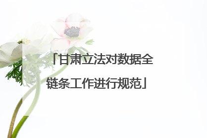 甘肃立法对数据全链条工作进行规范