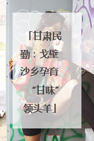甘肃民勤：戈壁沙乡孕育“甘味”领头羊