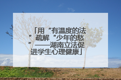 用“有温度的法”疏解“少年的愁”——湖南立法促进学生心理健康