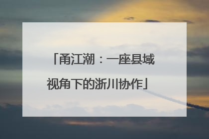 甬江潮：一座县域视角下的浙川协作