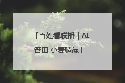 百姓看联播｜AI管田 小麦躺赢