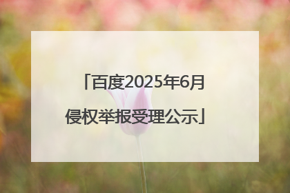 百度2025年6月侵权举报受理公示