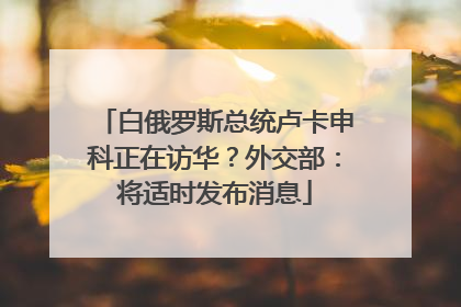 白俄罗斯总统卢卡申科正在访华？外交部：将适时发布消息