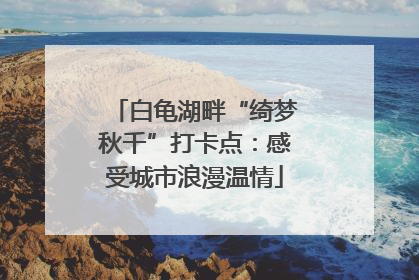 白龟湖畔“绮梦秋千”打卡点：感受城市浪漫温情