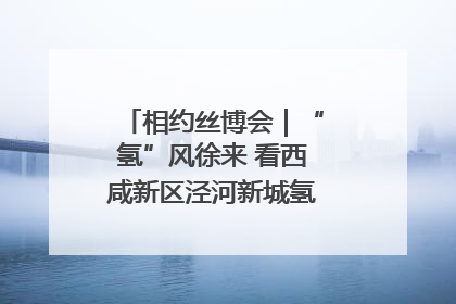 相约丝博会｜“氢”风徐来 看西咸新区泾河新城氢能产业聚链成势