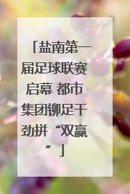 盐南第一届足球联赛启幕 都市集团铆足干劲拼“双赢”