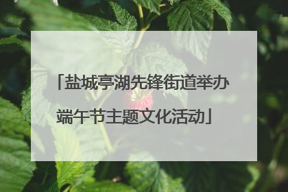 盐城亭湖先锋街道举办端午节主题文化活动