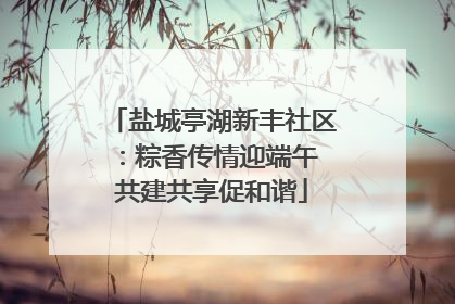 盐城亭湖新丰社区：粽香传情迎端午 共建共享促和谐