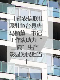 省农信联社派驻鱼台县唐马镇第一书记工作队助力“三夏”生产 彰显为民担当