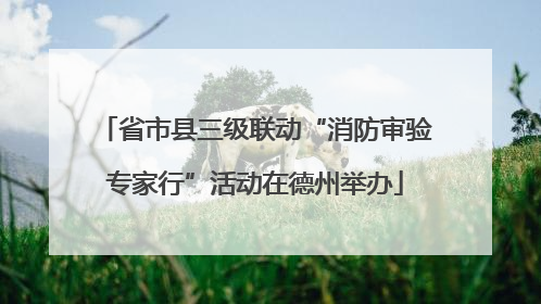 省市县三级联动“消防审验专家行”活动在德州举办