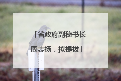 省政府副秘书长周志扬，拟提拔