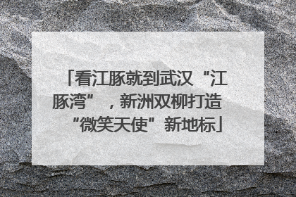 看江豚就到武汉“江豚湾”，新洲双柳打造“微笑天使”新地标