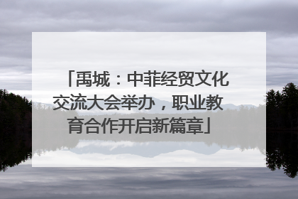 禹城：中菲经贸文化交流大会举办，职业教育合作开启新篇章
