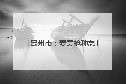 禹州市：麦罢抢种急